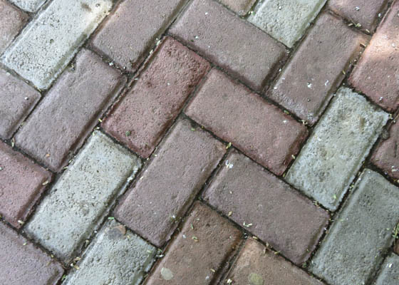 Garden Services Salisbury Wiltshire power washing